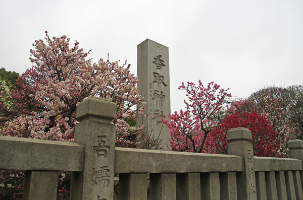 140311_香取神社1.JPG