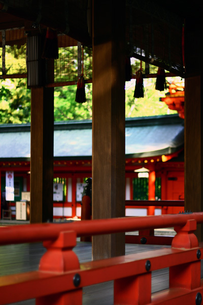 2012.7.22氷川神社3.jpg